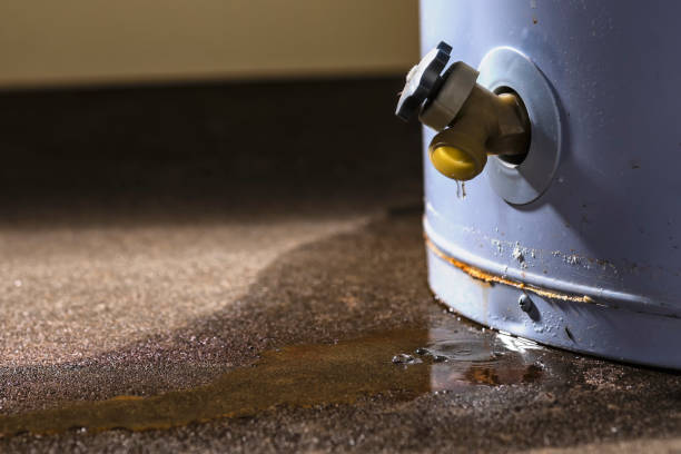 Best Carpet water damage restoration  in Ripley, WV