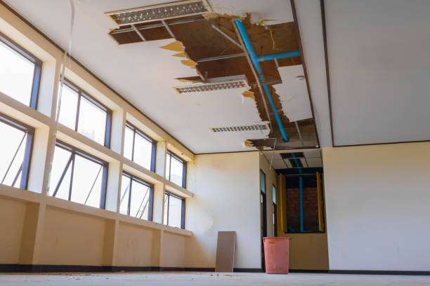 Best Water damage contractors near me  in Ripley, WV