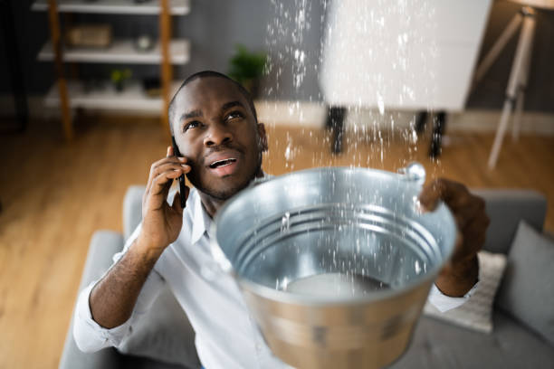 Trusted Ripley, WV Water damage restoration Experts
