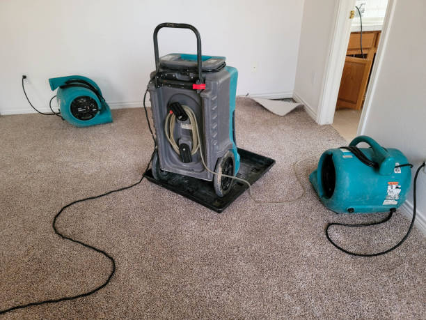  Ripley, WV Water damage restoration Pros