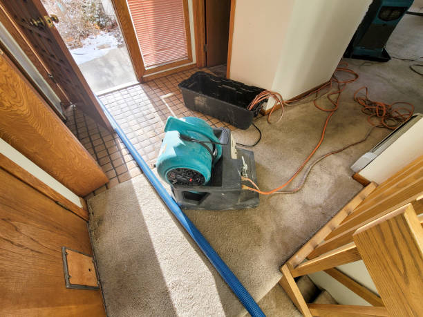 Best 24/7 water damage repair  in Ripley, WV