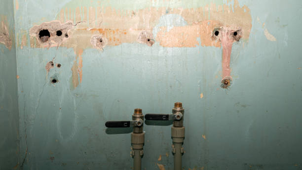  Ripley, WV Water damage restoration Pros