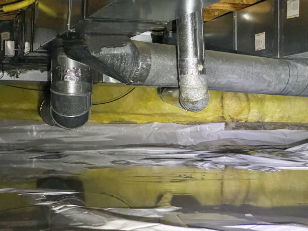 Best Water damage restoration insurance claims  in Ripley, WV