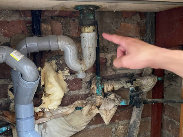 Water damage restoration mold remediation in Ripley, WV