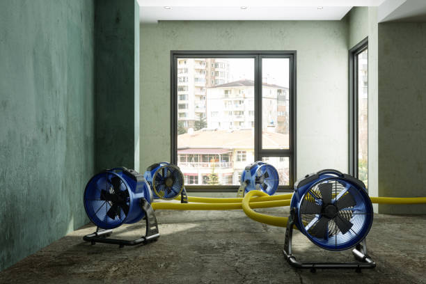 Best Water damage restoration services  in Ripley, WV