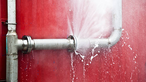 Best Water damage restoration specialists  in Ripley, WV